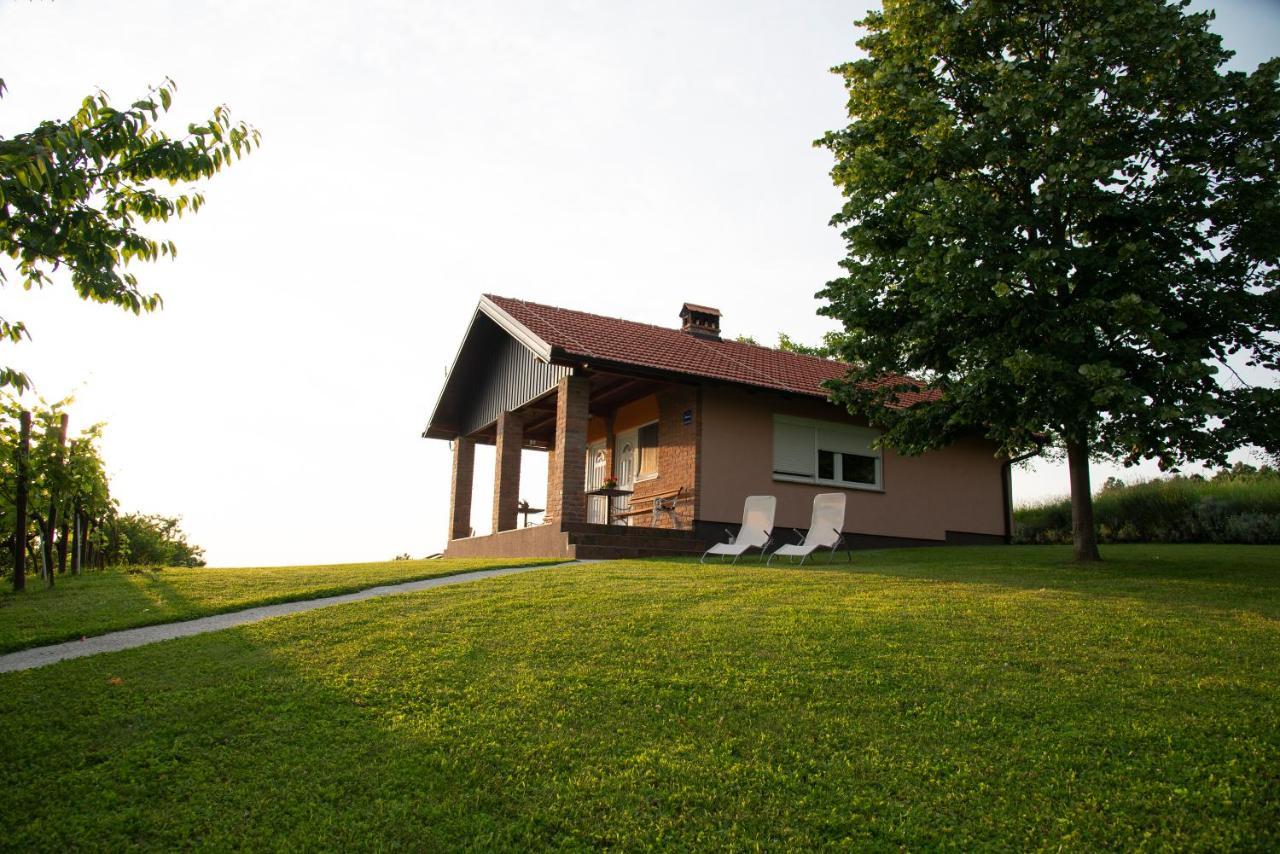 Guest House Blazevic Gornja Gracenica المظهر الخارجي الصورة
