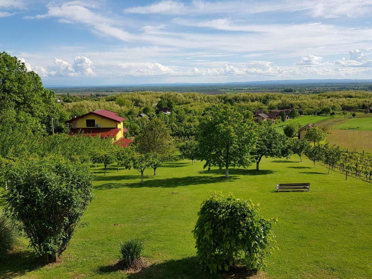 Guest House Blazevic Gornja Gracenica المظهر الخارجي الصورة