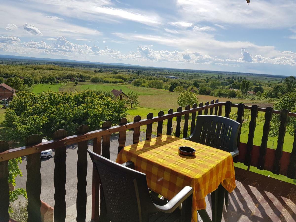 Guest House Blazevic Gornja Gracenica المظهر الخارجي الصورة